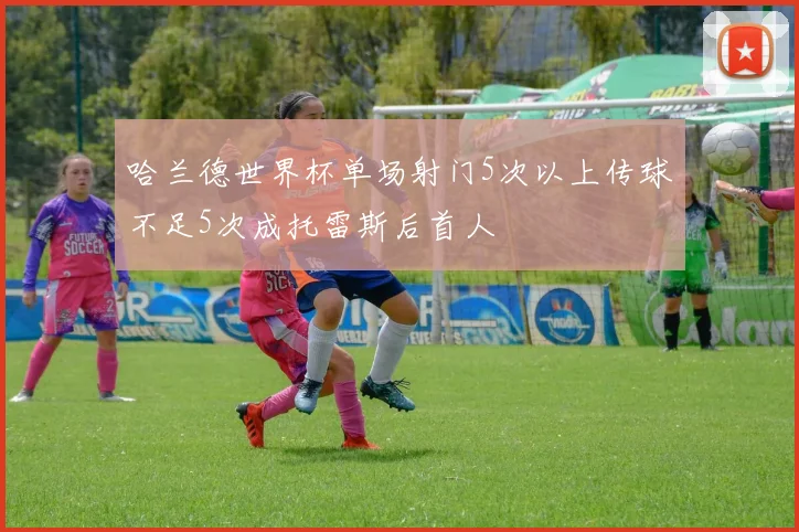 哈兰德世界杯单场射门5次以上传球不足5次成托雷斯后首人